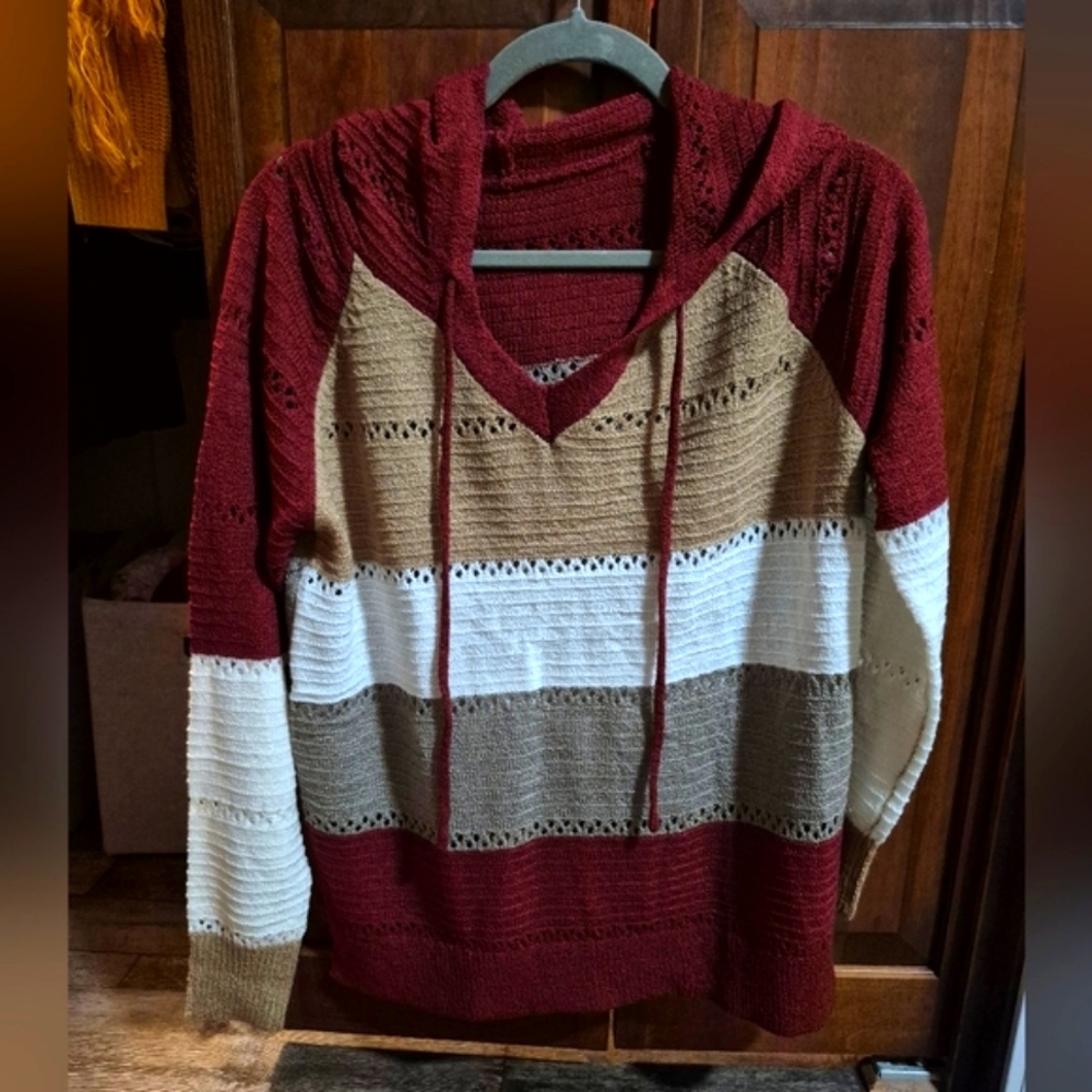 Striped Knit Hoodie in Burgundy, Tan, and White